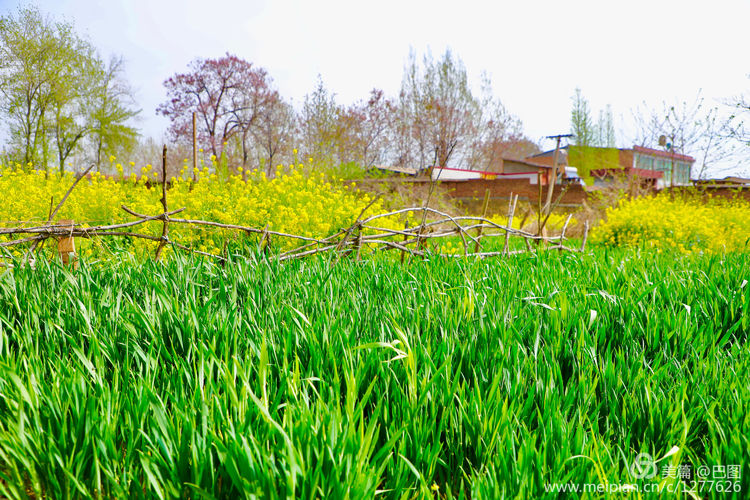 曾经的新安小香港,今日物是人非,探访洛阳水泥厂工人村