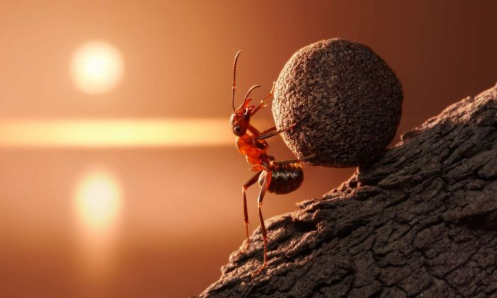 考研英语必看攻略,考研英语必背文章推荐