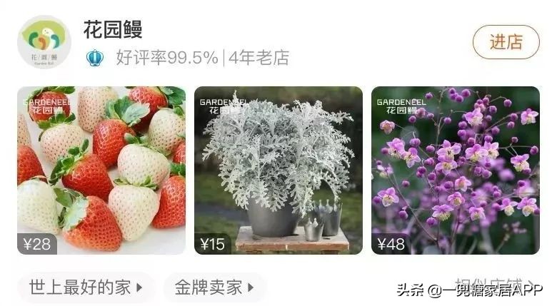 春天花会开|这20家植物淘宝店，植物杀手看了也想买！