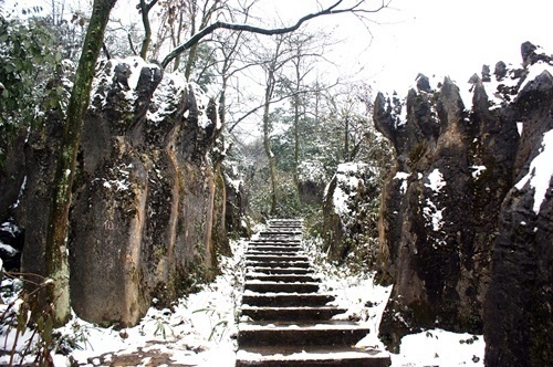 乐山市文旅专题会议,改革开放谋发展文旅融合谱新篇