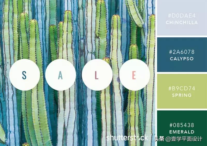 设计师钟爱的9组高级感配色方案,家装设计师配色方案色卡