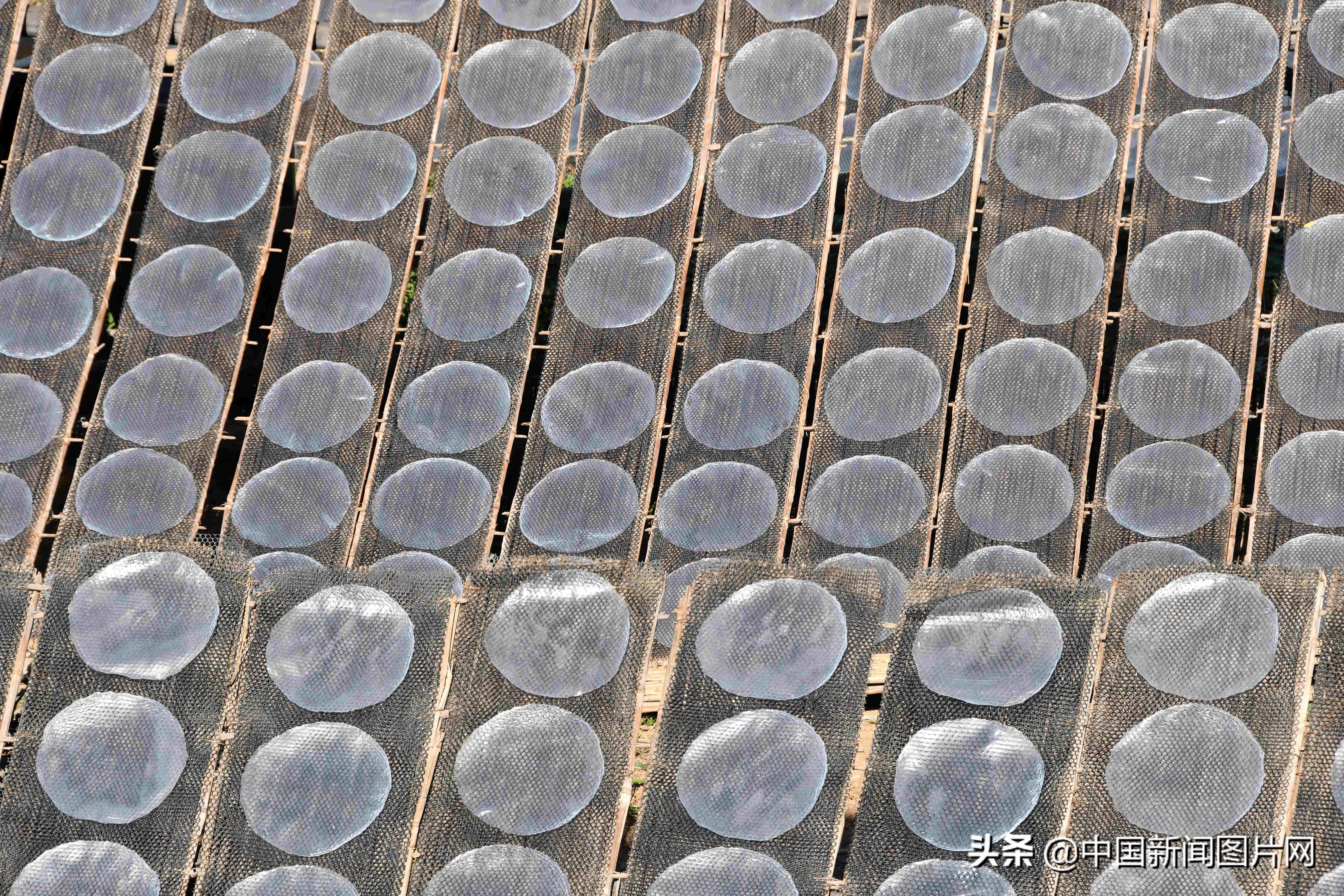 黄县手工粉皮现做现卖,粉皮加工厂致富项目