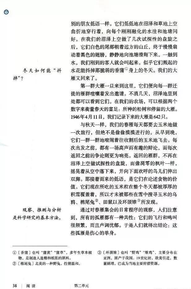 语文课本八年级下册浙教版电子书,八年级下册语文七彩课堂电子课本