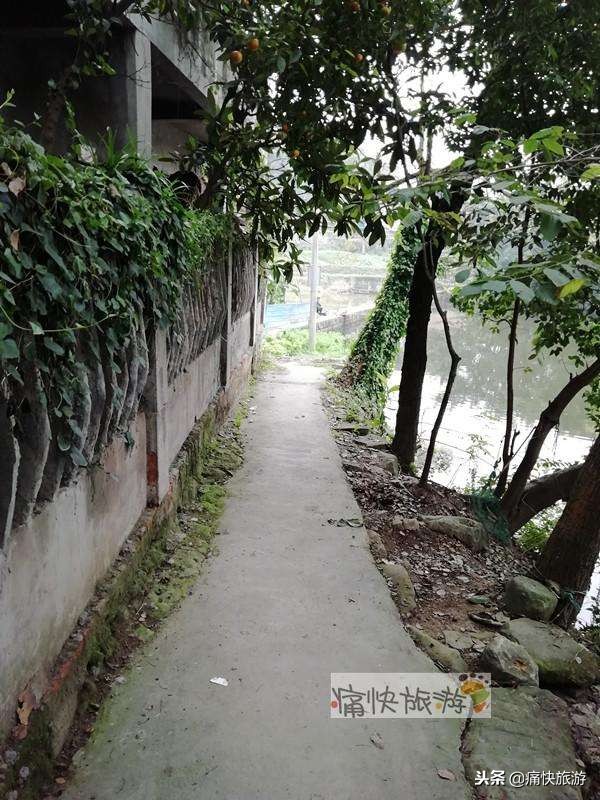 自贡最具盐史景点,自贡清代古盐井攻略