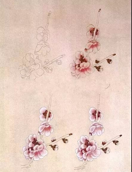 工笔梅花的分染上色教程,工笔梅花的10种设色技法收藏起来