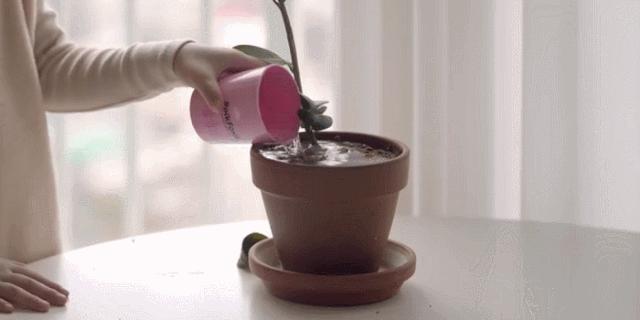 韩国主妇治愈生活,韩国主妇带着婴儿做家务