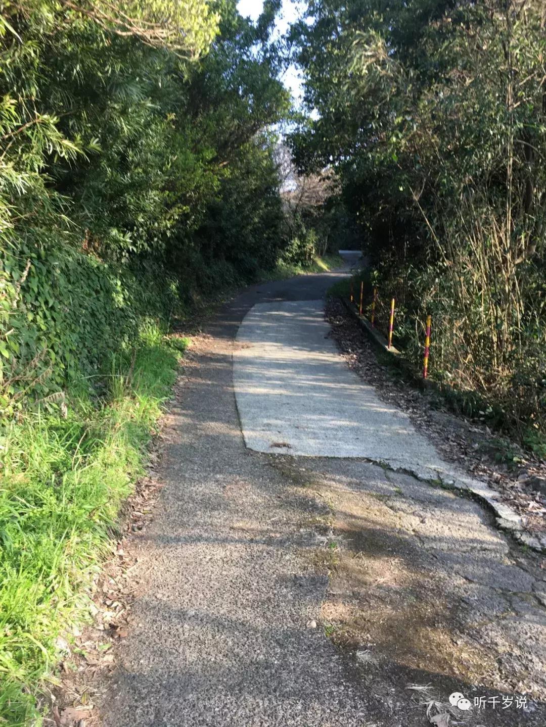 日本东京熊本熊,日本熊本游