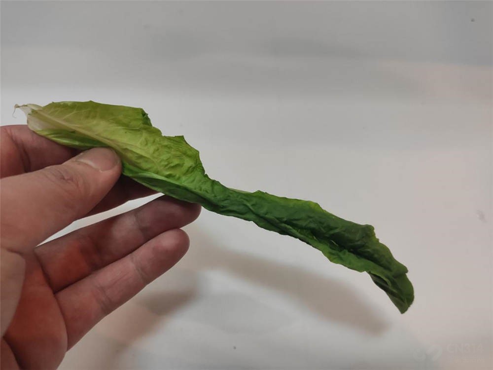 美的519升冰箱功率大吗,美的629升冰箱评测