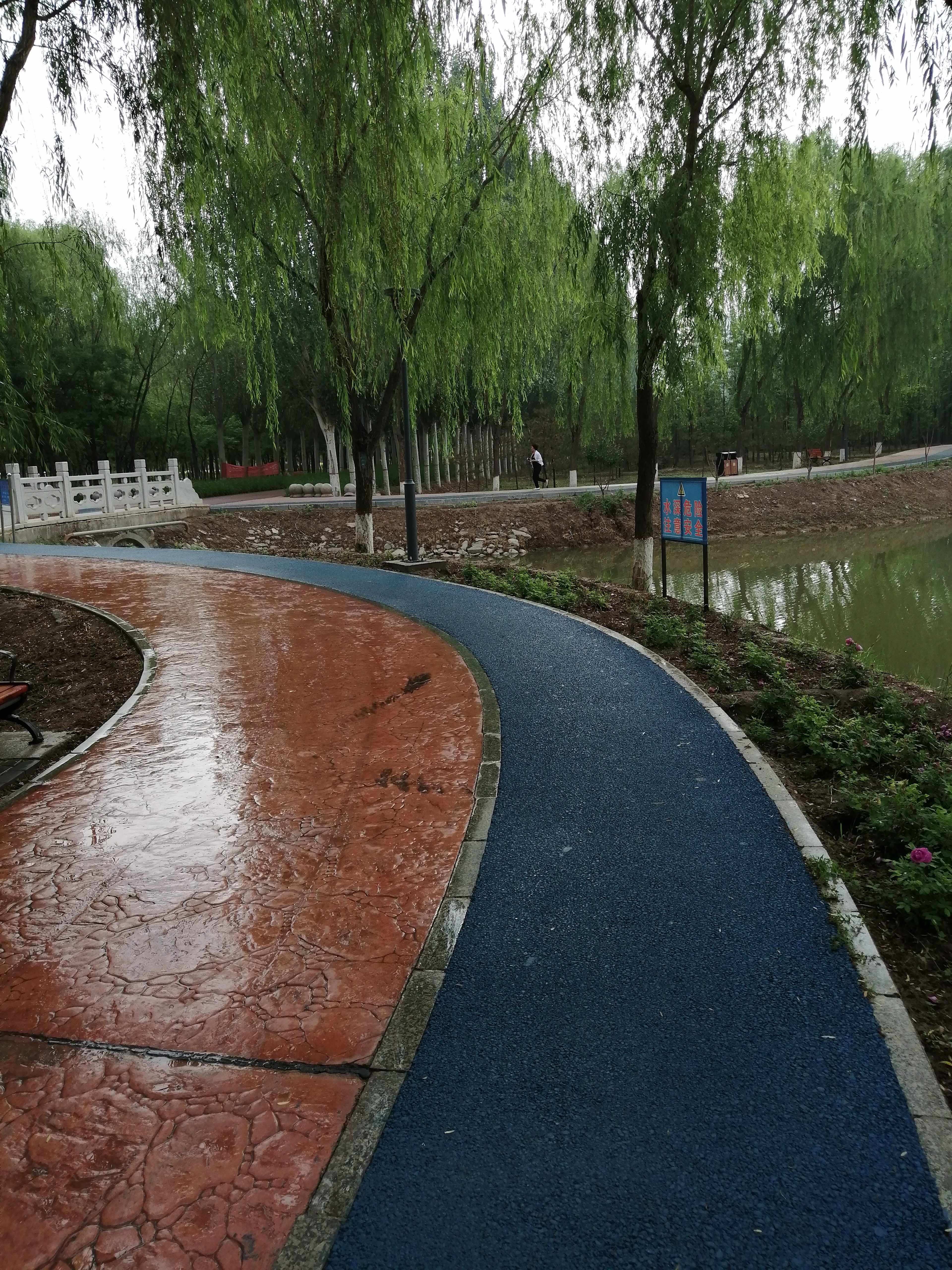 凤凰公园南京,凤凰公园的凤凰