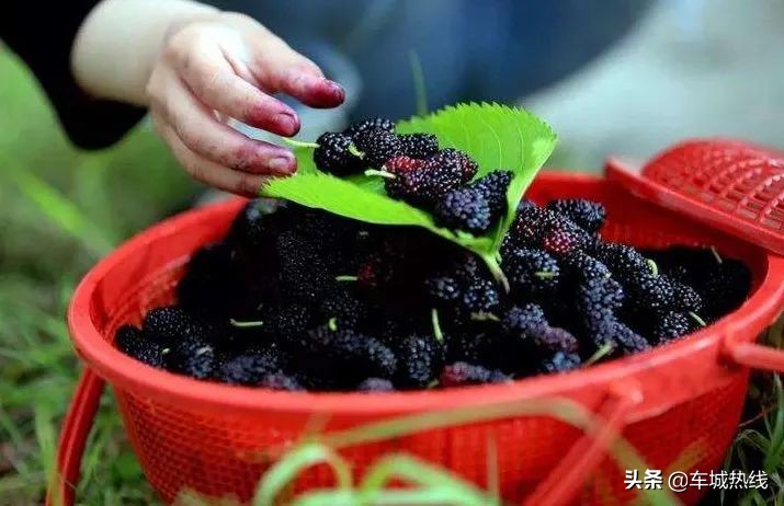 十堰市坐公交车最新要求,今天十堰公交202出行情况