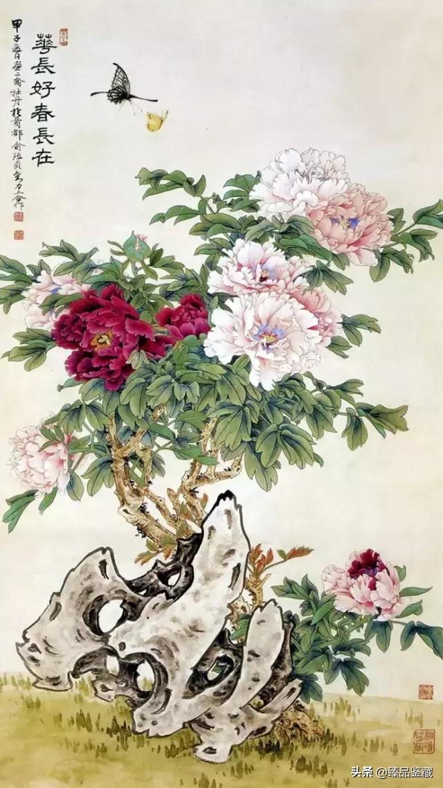 工笔大师田世光,工笔画大师田世光画孔雀好美