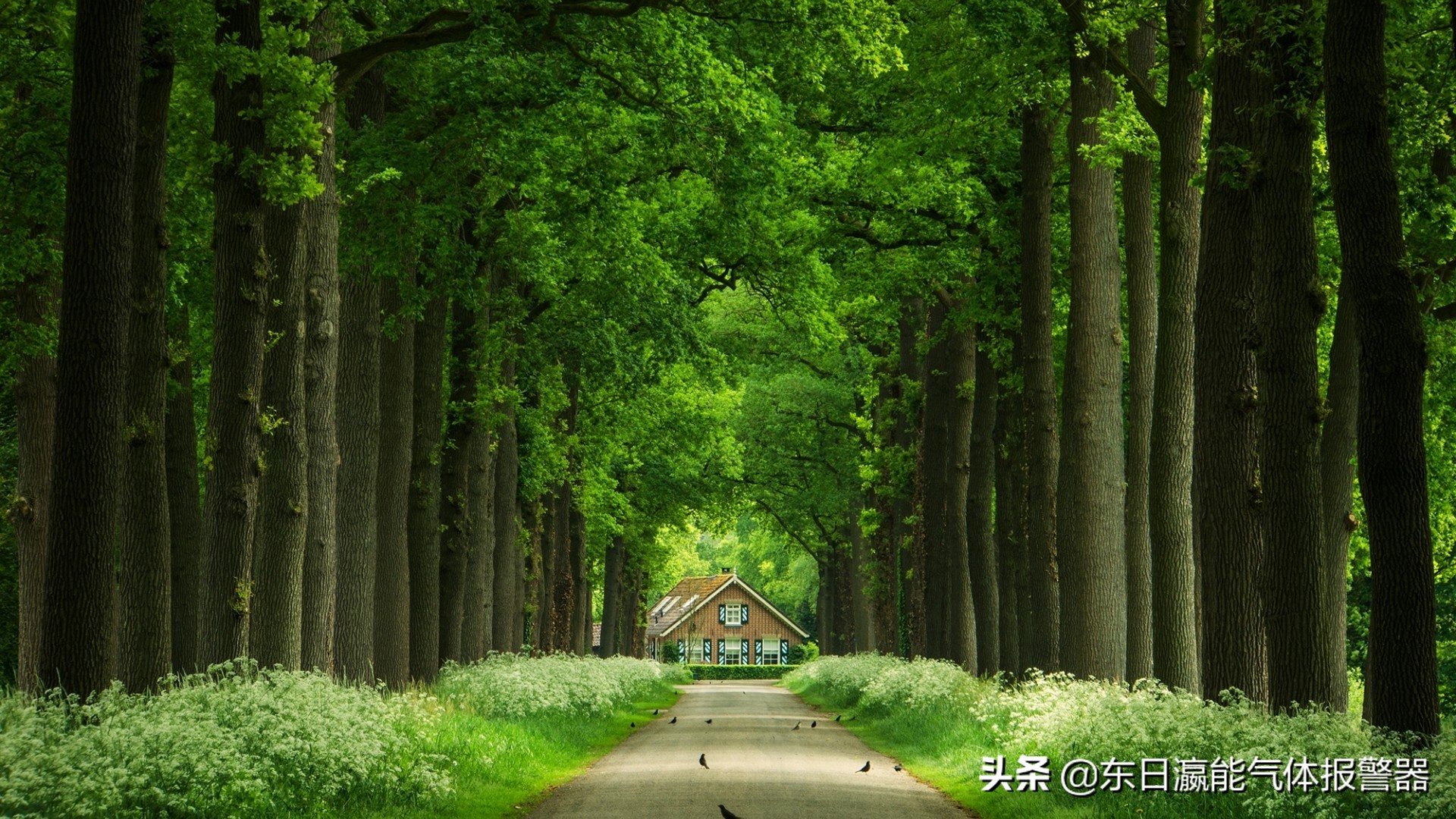 六氟化硫sf6气体化学性能稳定,六氟化硫在线监测