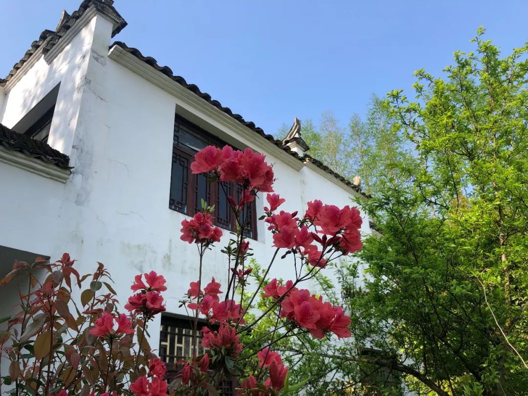 婺源清华朴园,婺源旅游攻略2日游民宿