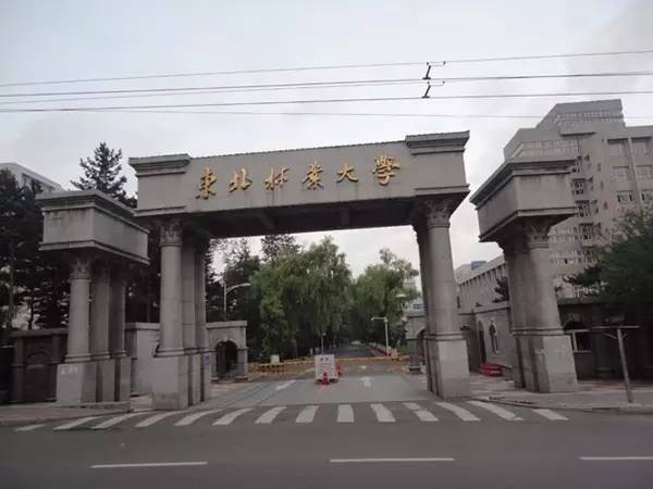 哈尔滨市内环境,哈尔滨一年四季的现状