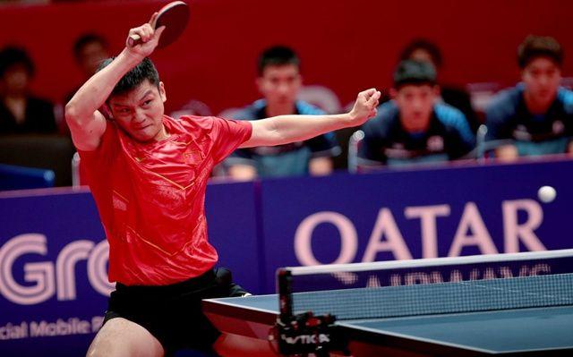 国乒运动员晒照片,国乒漫画图林高远