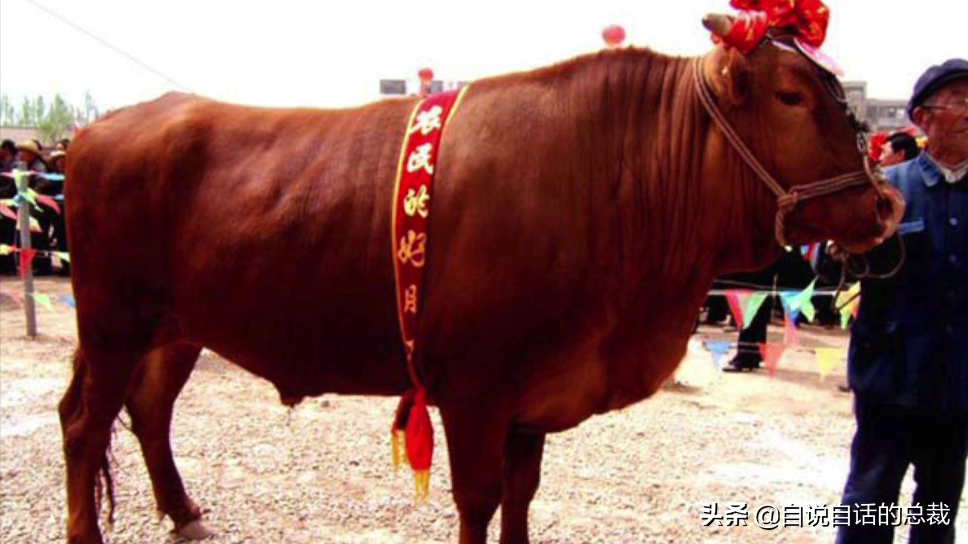 阿努纳奇创造人类7次文明,阿努纳奇人类起源