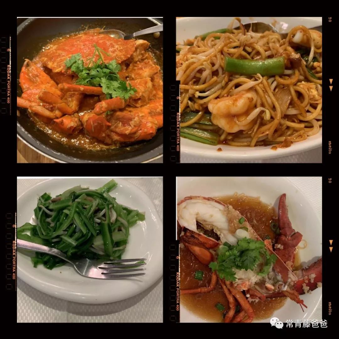 十一新加坡,十一游学新加坡