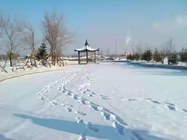 今年秋天热不热,今年秋天不一样