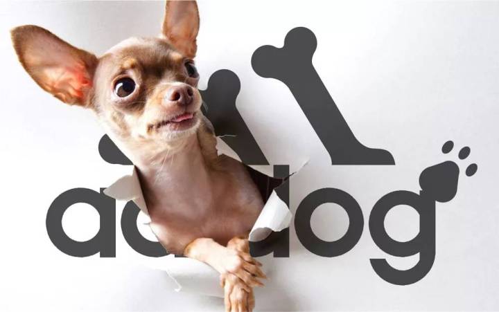 adidas灏忕嫍绯诲垪,闃胯开杈炬柉灏忕嫍绯诲垪