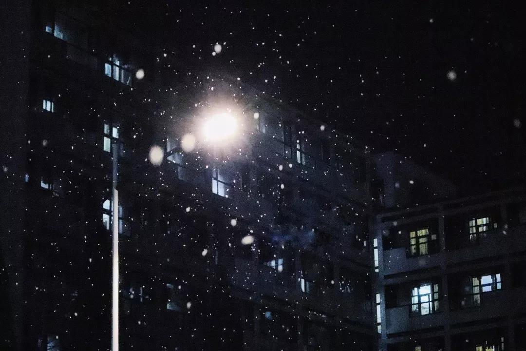 辽宁省高校(三十二)大连外国语大学