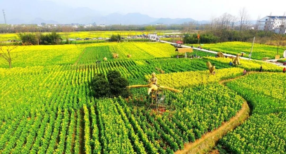 农村三产融合如何搞？一位创业者投资心经：先产品再产业