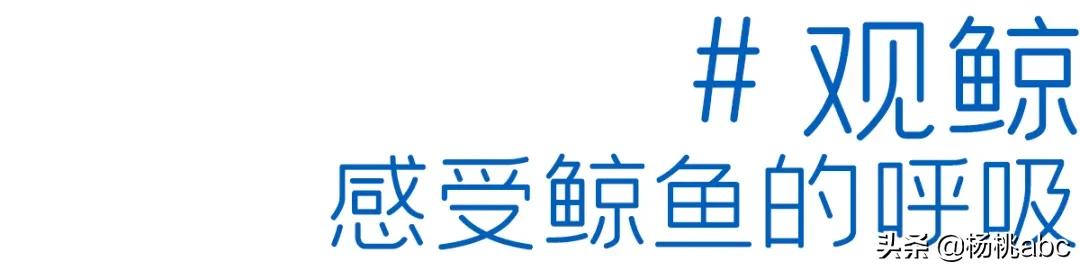 Letsgo!|这个地方竟然这么多综艺节目抢着去?