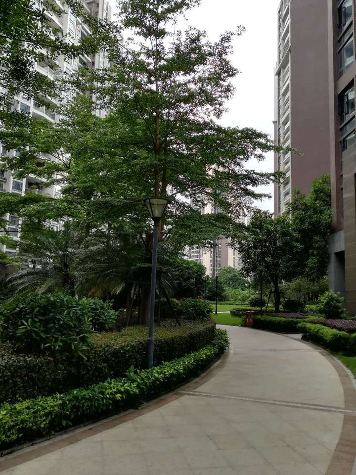 湛江京基城1期楼王,湛江京基城开盘价格