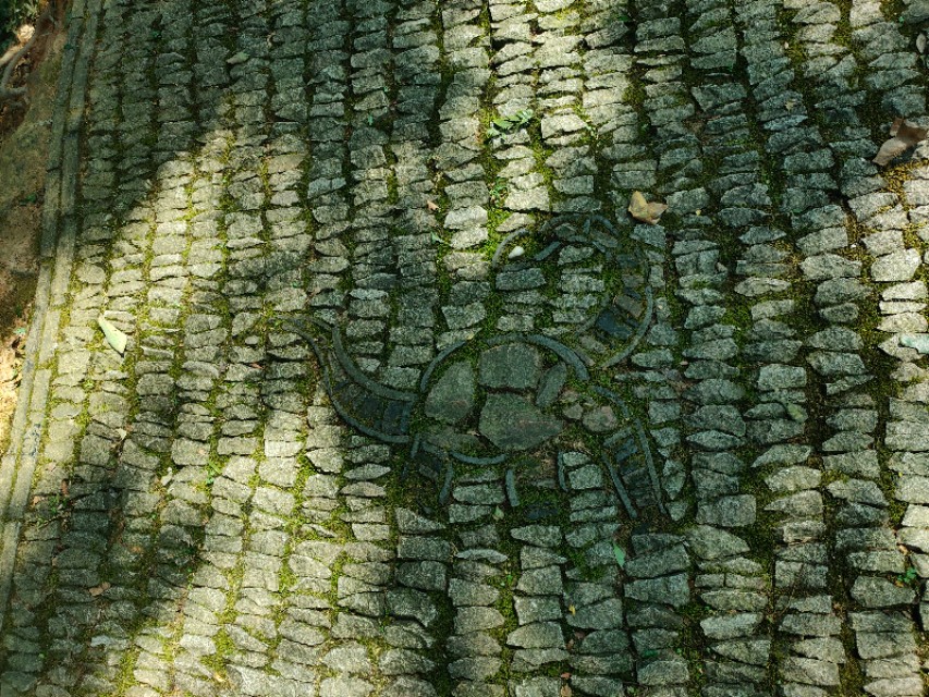 苏州上方山国家森林公园地图,苏州上方山国家森林公园航拍