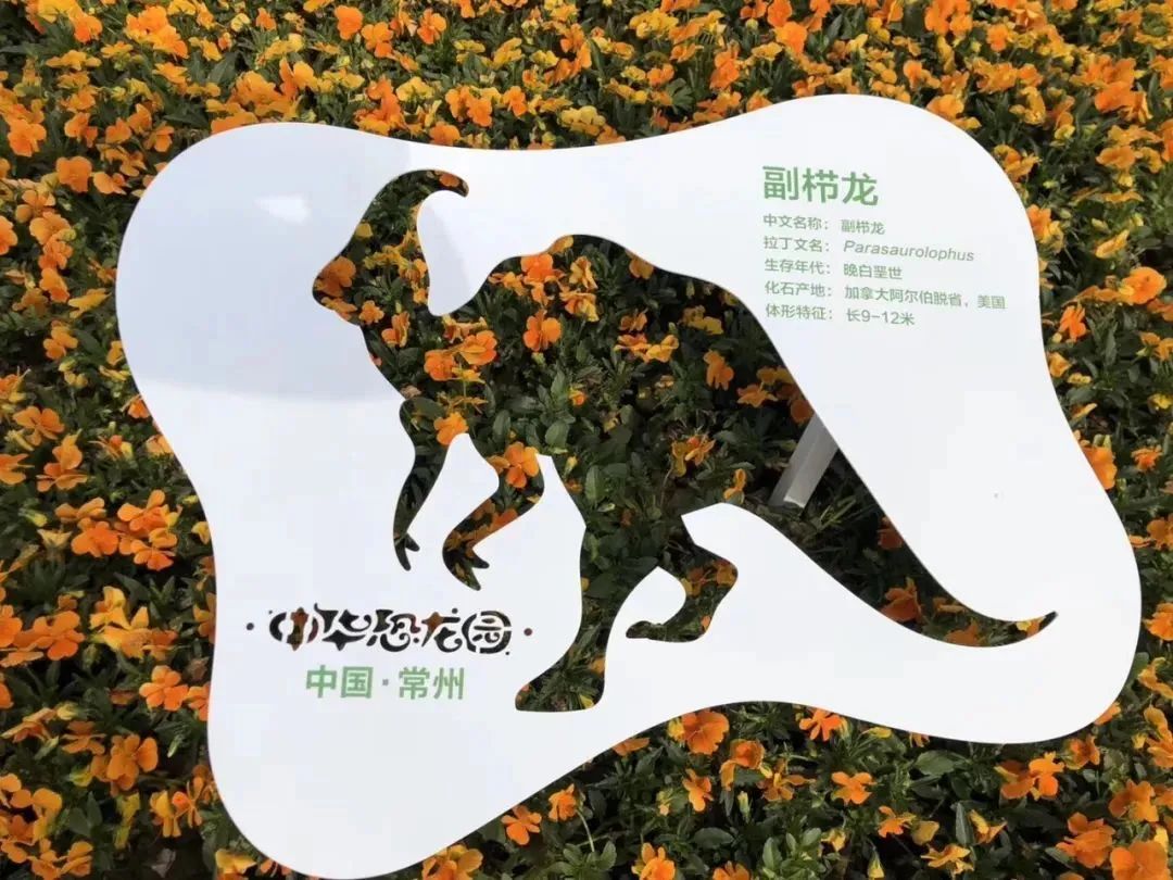 欢乐谷、方特、恐龙园盛装回归!各大乐园特色活动大盘点!