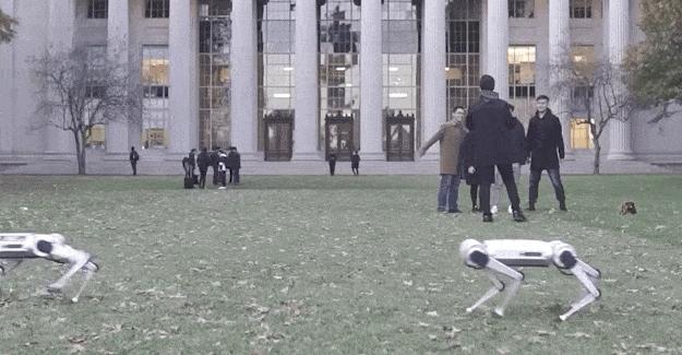 雷军铁蛋测试,雷军演示铁蛋机器