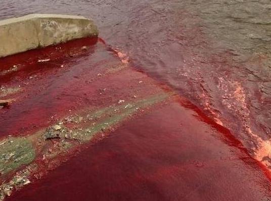 印度下血雨什么时候下的,为什么印度会出现血雨