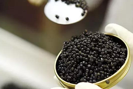 一口一亿的鱼子酱,一口几百块的鱼子酱
