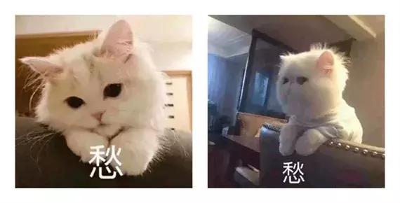 床垫除霉菌的最好方法,怎么防止床垫潮湿发霉