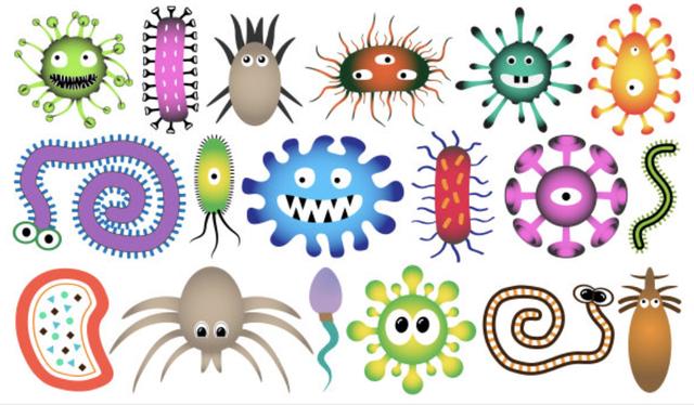 人体内的细菌在多少度以下,人体内最常见的细菌