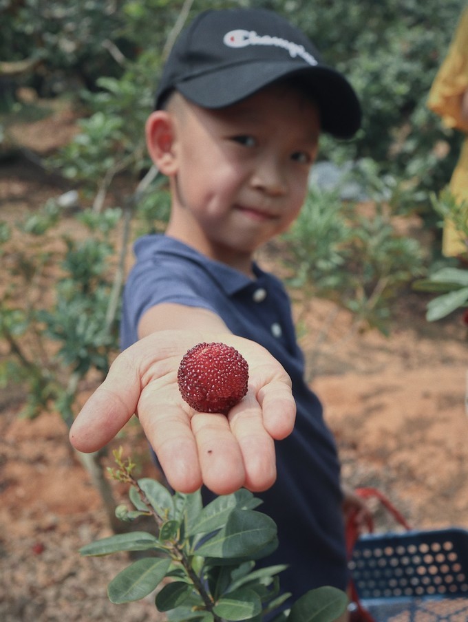 错过救赎山，还有彩虹山，手把手教你把漳州火山岛玩成假装在国外