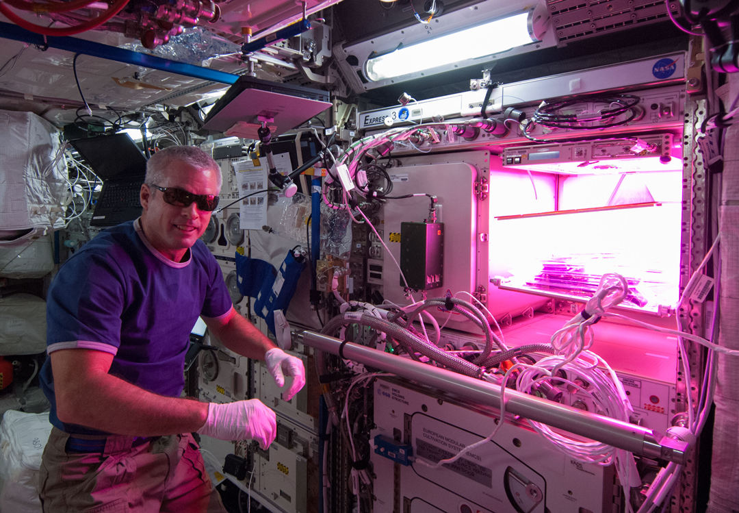 科普在太空种菜的诸多学问,太空上为什么能种菜呢