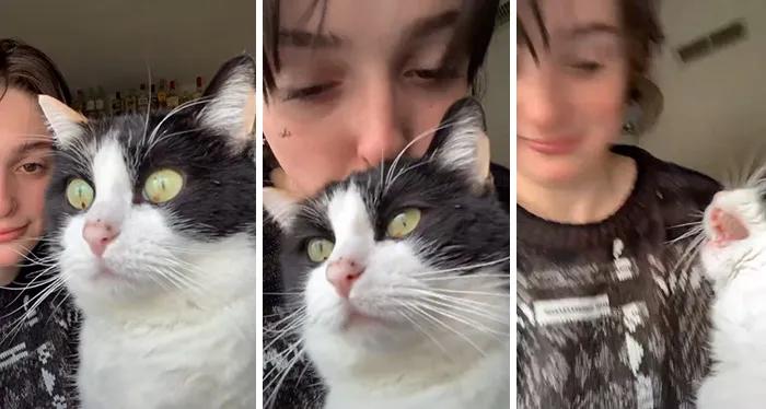 当你亲了猫一下它会摇尾巴,当你亲了猫一口会发生什么