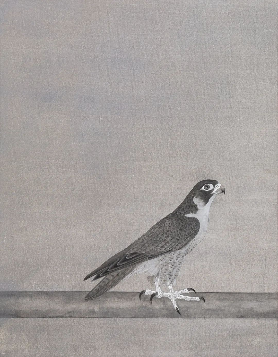 他画的鹰,严谨工致,萧疏威严