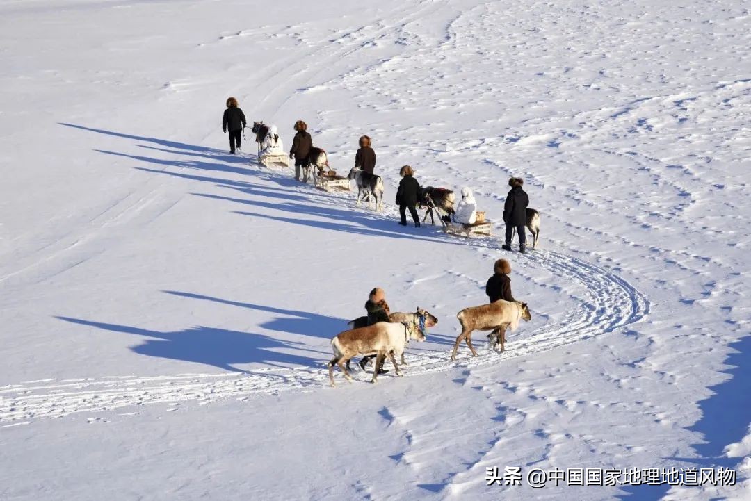 辽宁吉林黑龙江省会分别是哪里,黑龙江和辽宁谁代表东北