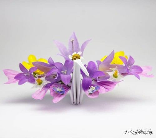 用折纸怎么才能折出千纸鹤,千纸鹤神仙叠法