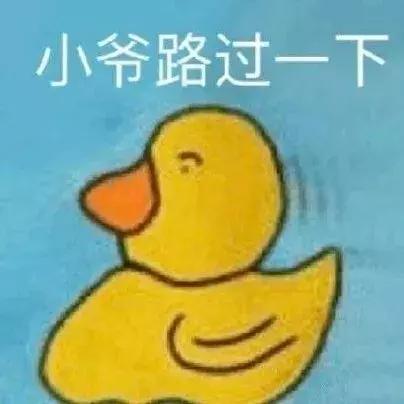 太平鸟走下坡路,表面上的风生水起