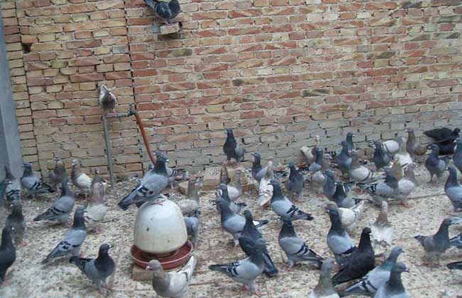 适合90后的创业项目,适合90后创业的项目小生意