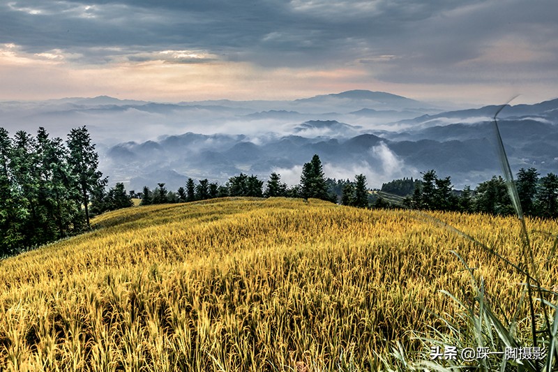 摄影能带来快乐体验,摄影带来什么