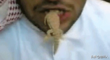 沙特的十大美食,重口不辣的美食