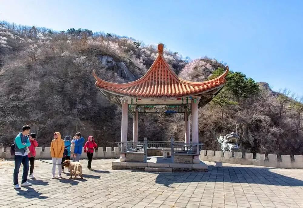 到了京郊这些花开四溢的“仙境”，您简直可以把日子过成诗！