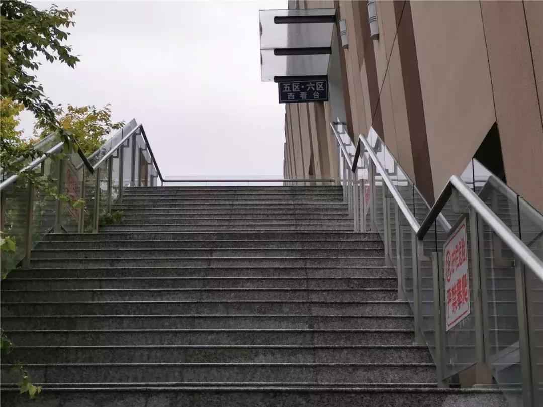 顺义城南体育中心室外场地开放,顺义区城南体育场开放时间