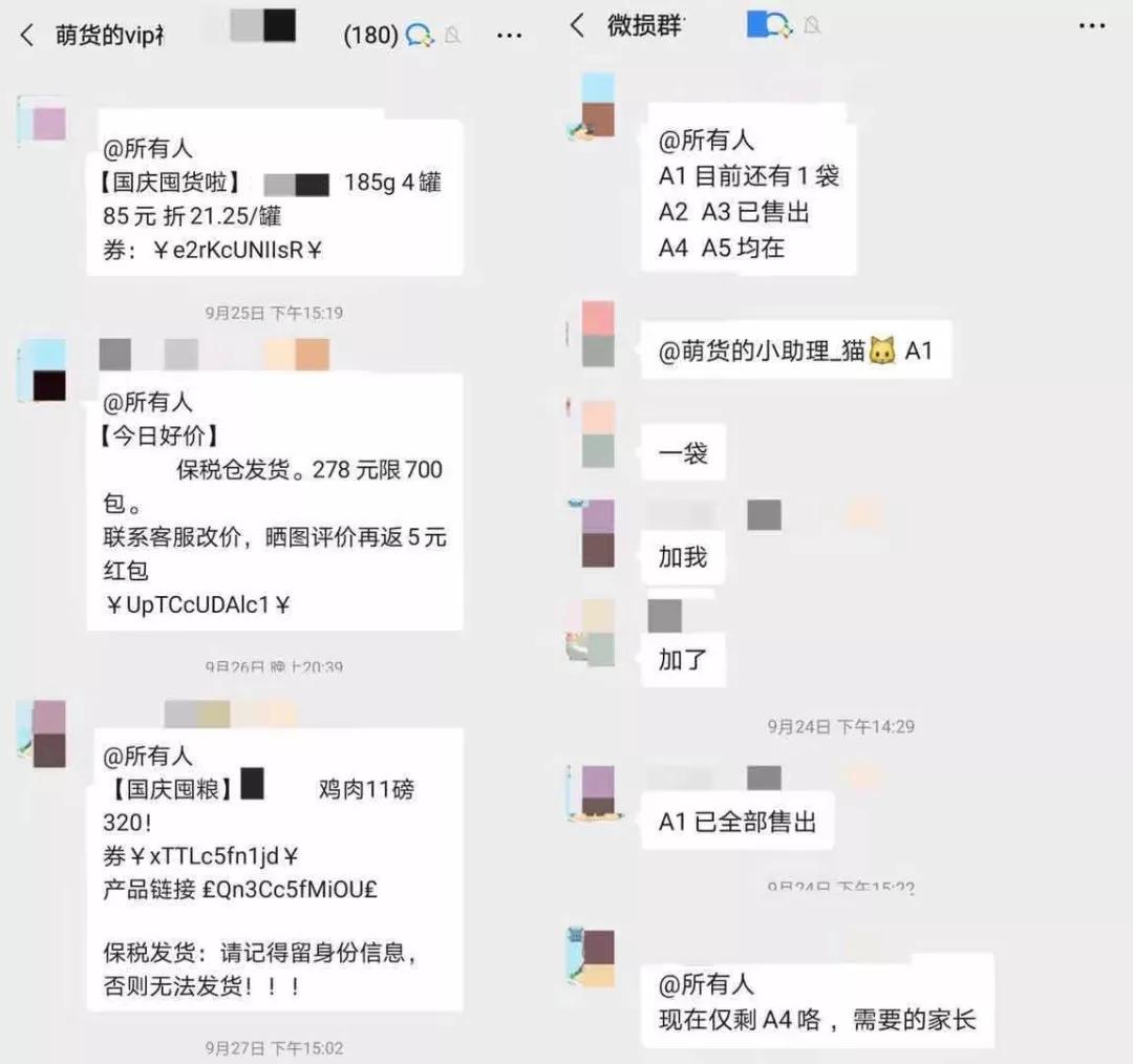 本以为养猫是为了不孤单,以为单身就可以自由