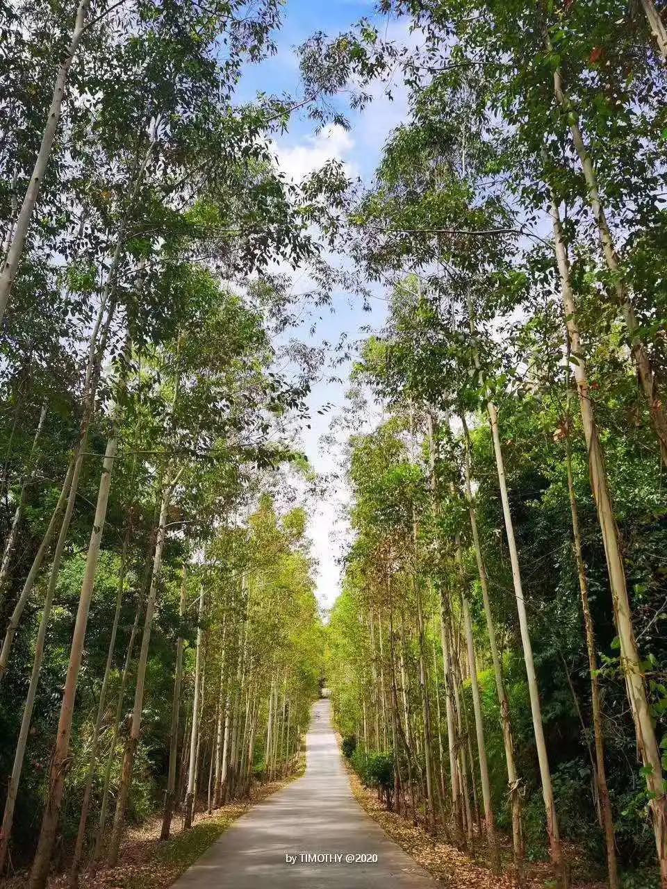 惠东忘山居民宿,惠东特色亲子民宿有哪些