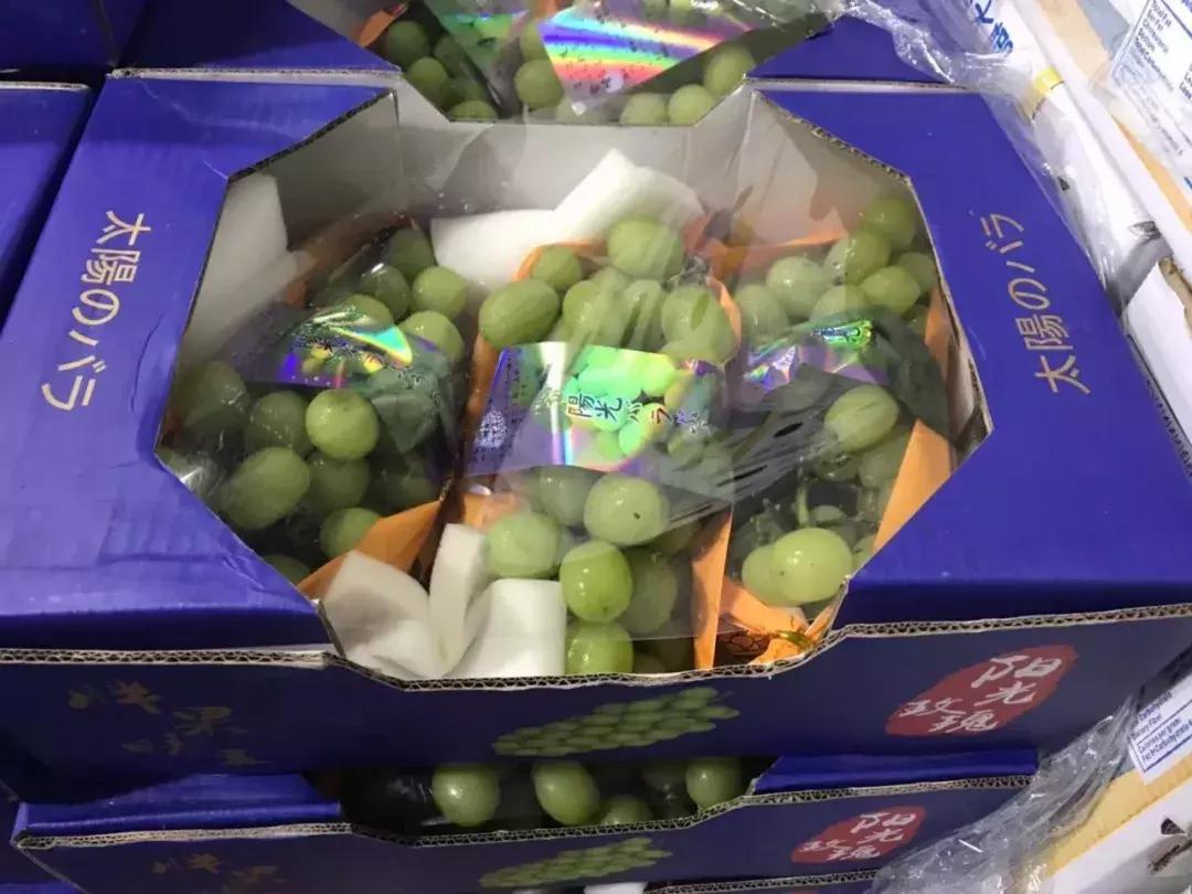 进口的水果有哪些,进口水果价格高的解决办法