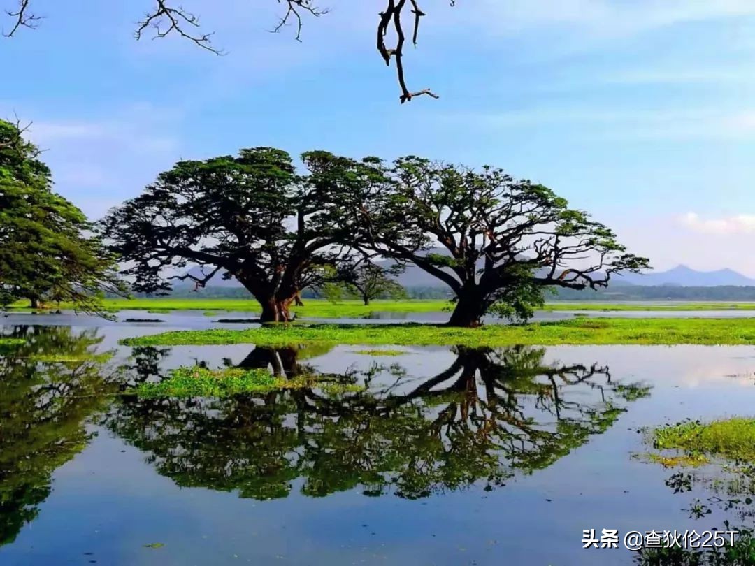 斯里兰卡努沃埃利耶小镇,斯里兰卡努沃勒埃利耶茶厂